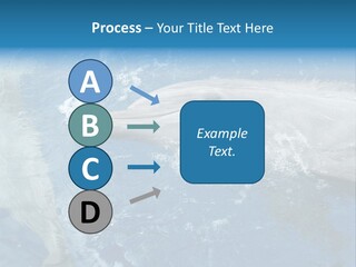 Dolphins PowerPoint Template