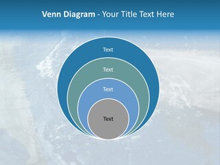 Dolphins PowerPoint Template