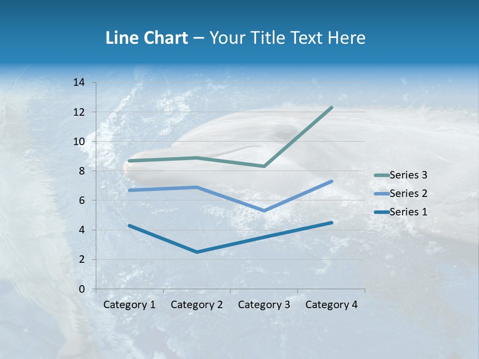 Dolphins PowerPoint Template