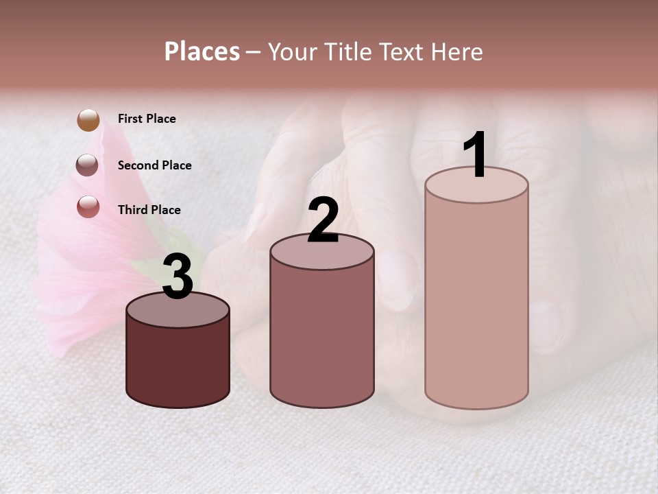 A Person Holding A Pink Flower With Their Hands PowerPoint Template