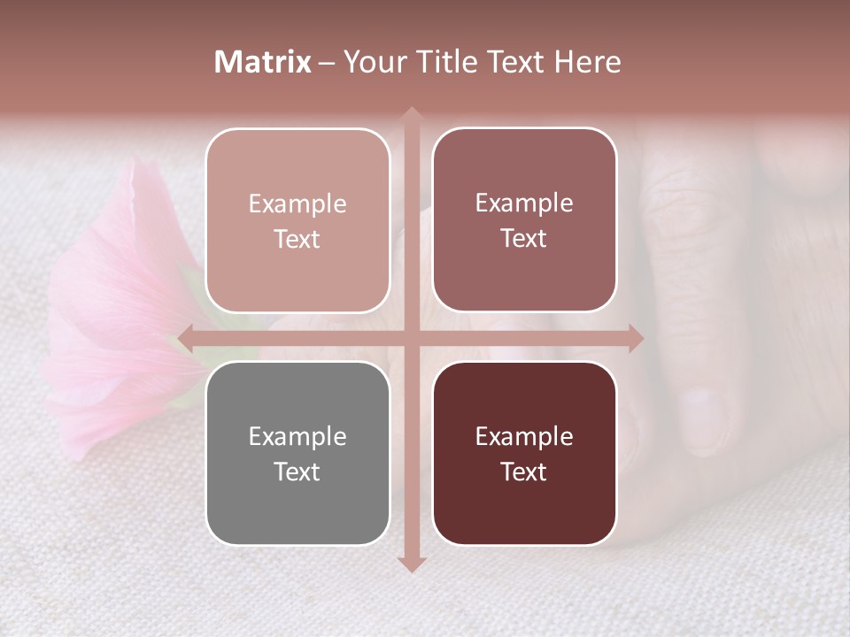 A Person Holding A Pink Flower With Their Hands PowerPoint Template