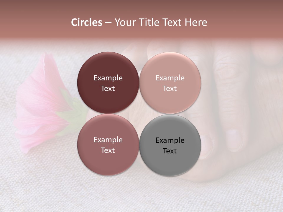 A Person Holding A Pink Flower With Their Hands PowerPoint Template