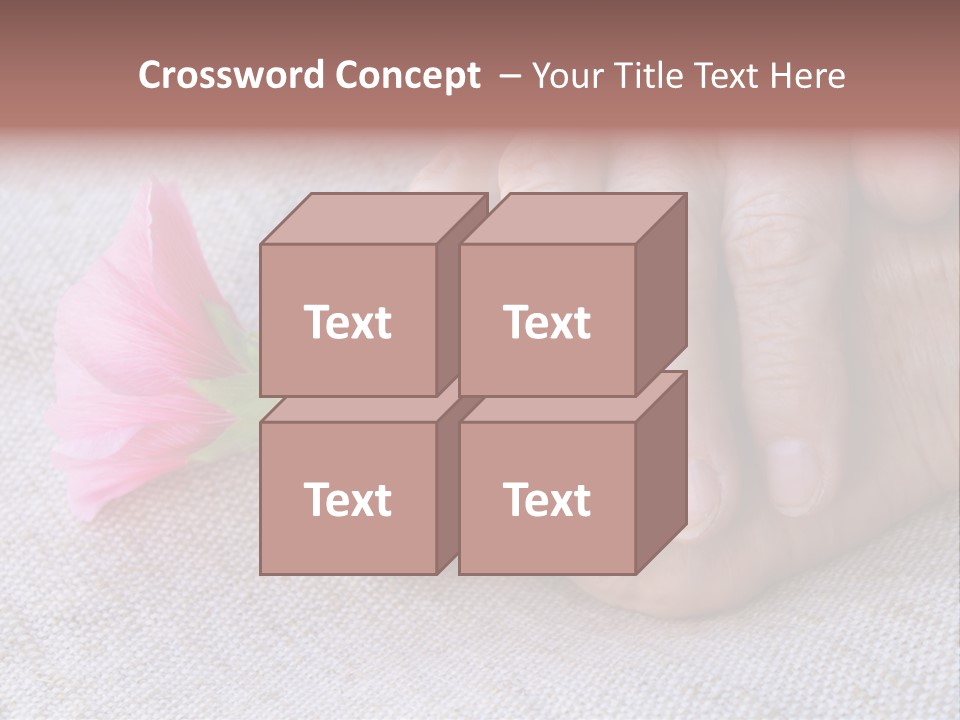 A Person Holding A Pink Flower With Their Hands PowerPoint Template