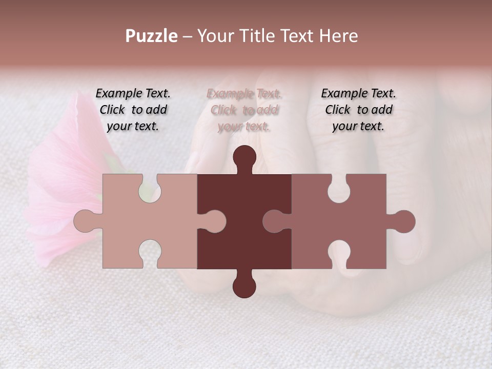 A Person Holding A Pink Flower With Their Hands PowerPoint Template