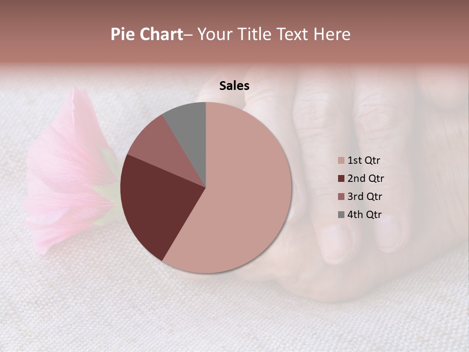 A Person Holding A Pink Flower With Their Hands PowerPoint Template