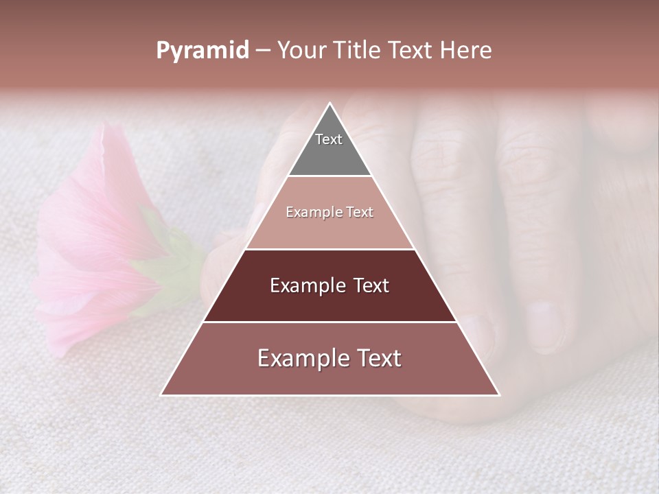 A Person Holding A Pink Flower With Their Hands PowerPoint Template