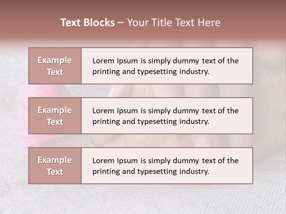 A Person Holding A Pink Flower With Their Hands PowerPoint Template