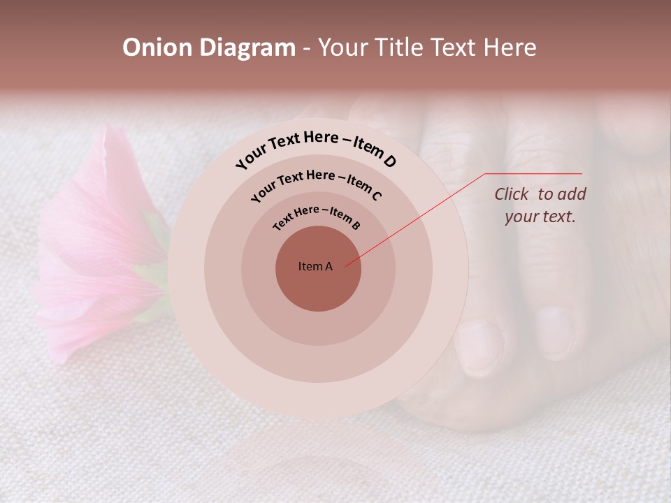 A Person Holding A Pink Flower With Their Hands PowerPoint Template