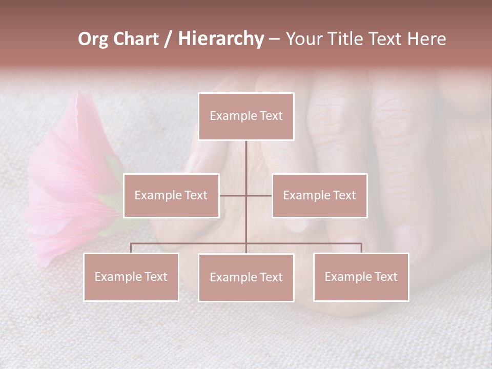 A Person Holding A Pink Flower With Their Hands PowerPoint Template