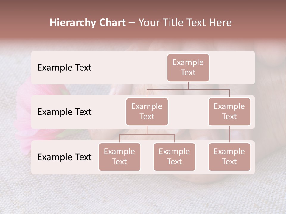 A Person Holding A Pink Flower With Their Hands PowerPoint Template
