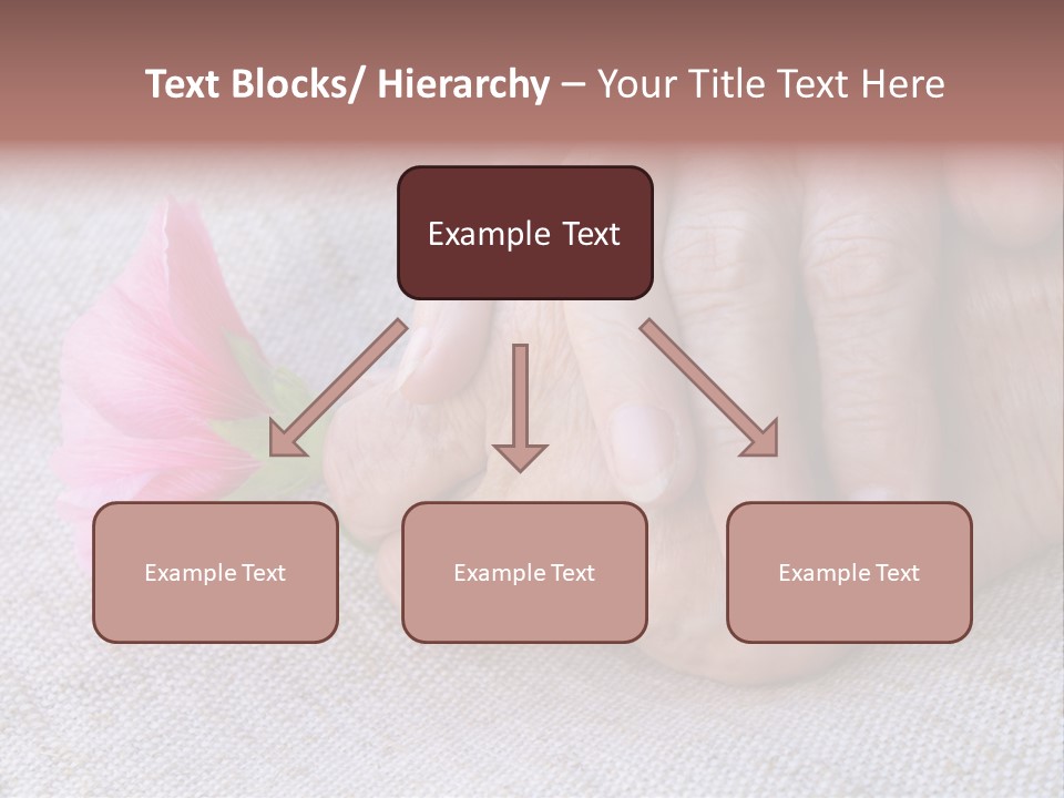 A Person Holding A Pink Flower With Their Hands PowerPoint Template