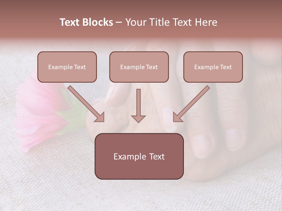 A Person Holding A Pink Flower With Their Hands PowerPoint Template