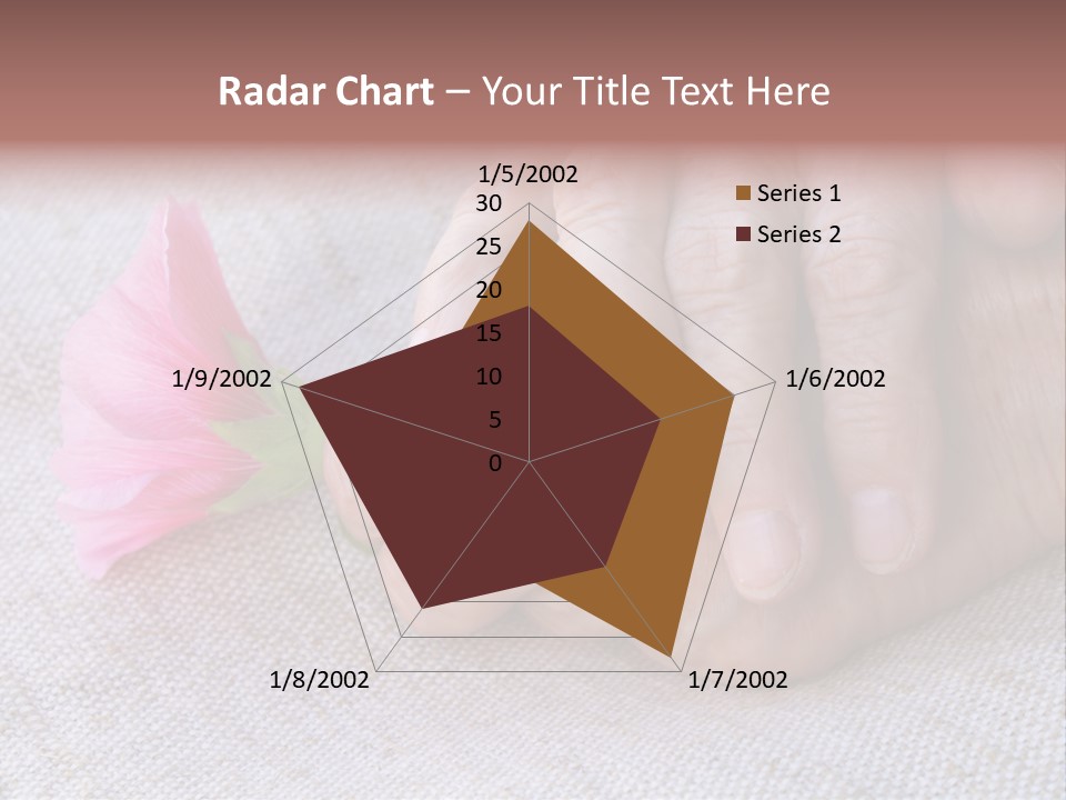 A Person Holding A Pink Flower With Their Hands PowerPoint Template