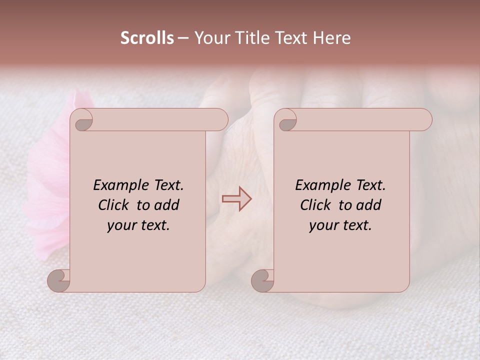 A Person Holding A Pink Flower With Their Hands PowerPoint Template