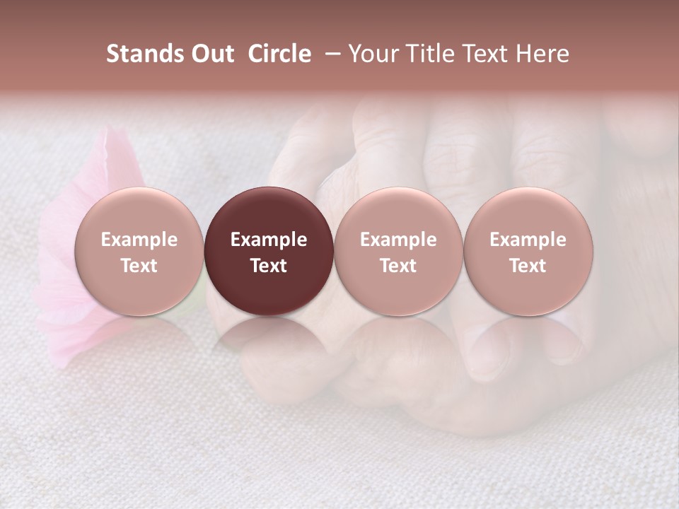 A Person Holding A Pink Flower With Their Hands PowerPoint Template