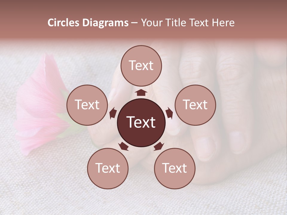 A Person Holding A Pink Flower With Their Hands PowerPoint Template