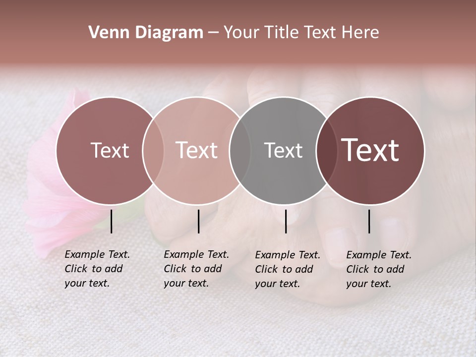 A Person Holding A Pink Flower With Their Hands PowerPoint Template