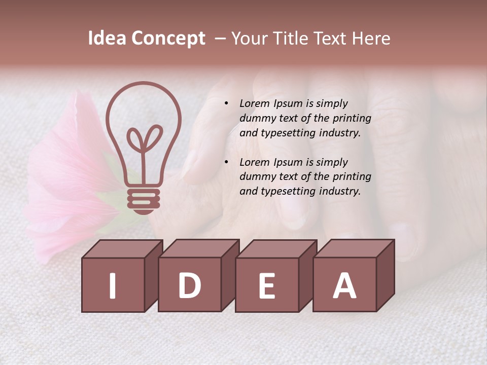 A Person Holding A Pink Flower With Their Hands PowerPoint Template