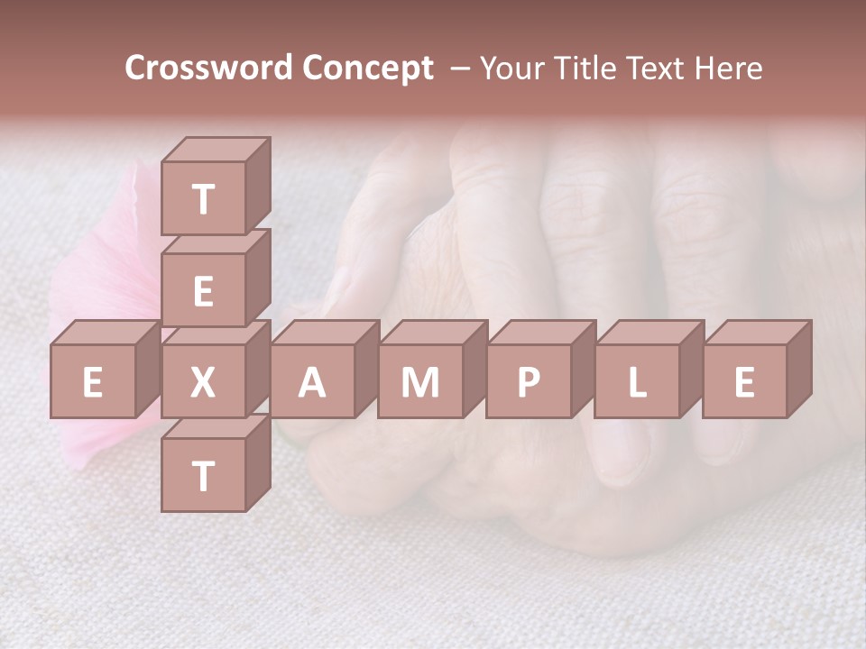 A Person Holding A Pink Flower With Their Hands PowerPoint Template