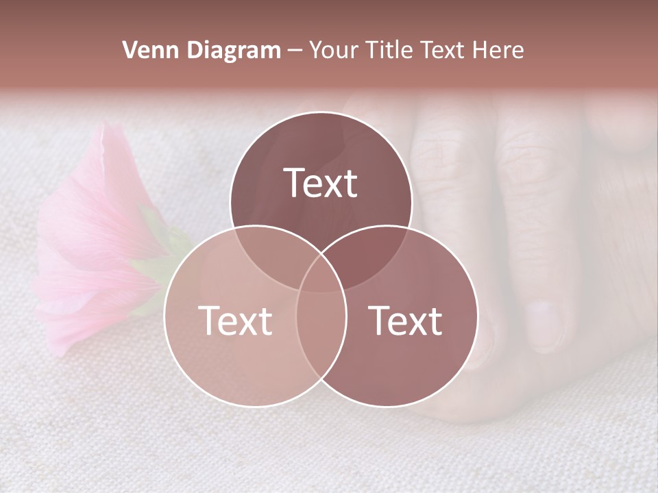 A Person Holding A Pink Flower With Their Hands PowerPoint Template