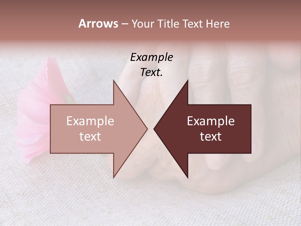 A Person Holding A Pink Flower With Their Hands PowerPoint Template