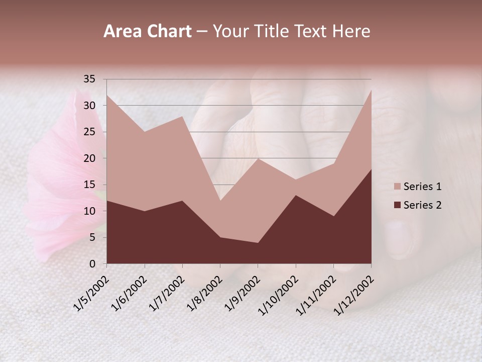 A Person Holding A Pink Flower With Their Hands PowerPoint Template