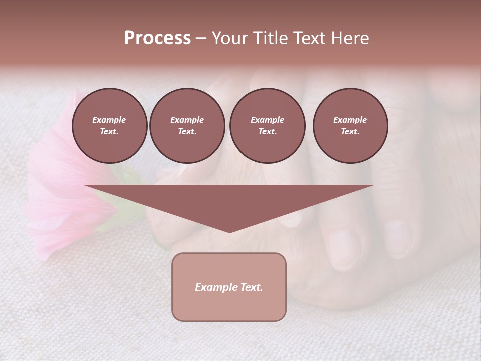 A Person Holding A Pink Flower With Their Hands PowerPoint Template