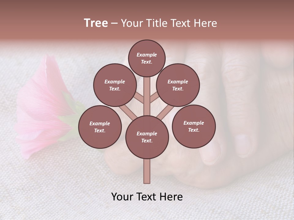 A Person Holding A Pink Flower With Their Hands PowerPoint Template