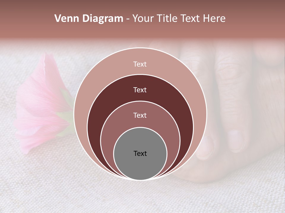 A Person Holding A Pink Flower With Their Hands PowerPoint Template