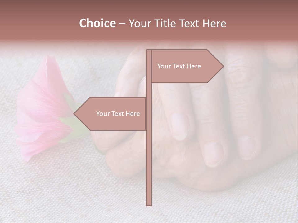 A Person Holding A Pink Flower With Their Hands PowerPoint Template