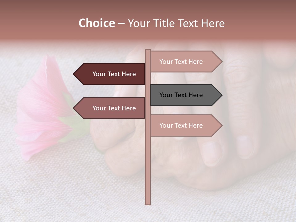 A Person Holding A Pink Flower With Their Hands PowerPoint Template