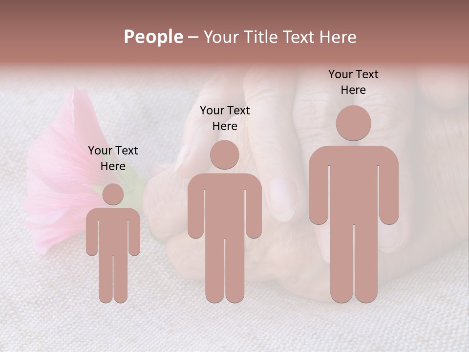 A Person Holding A Pink Flower With Their Hands PowerPoint Template