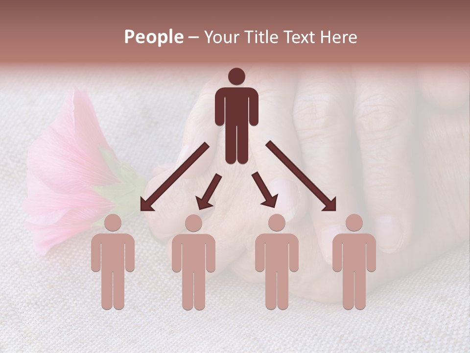 A Person Holding A Pink Flower With Their Hands PowerPoint Template