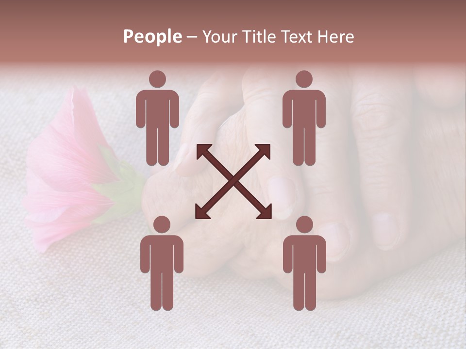 A Person Holding A Pink Flower With Their Hands PowerPoint Template