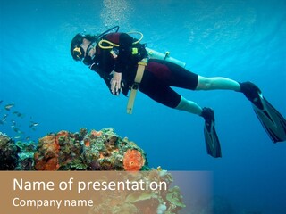 A Diver Floating Over A Coral Reef In The Caribbean Sea PowerPoint Template