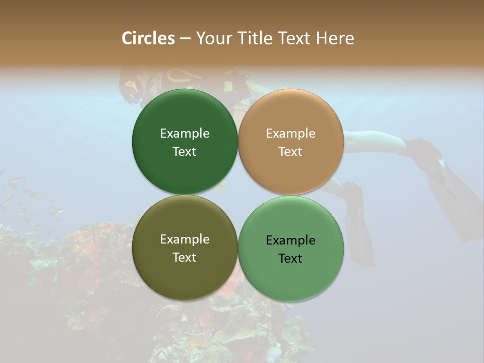 A Diver Floating Over A Coral Reef In The Caribbean Sea PowerPoint Template