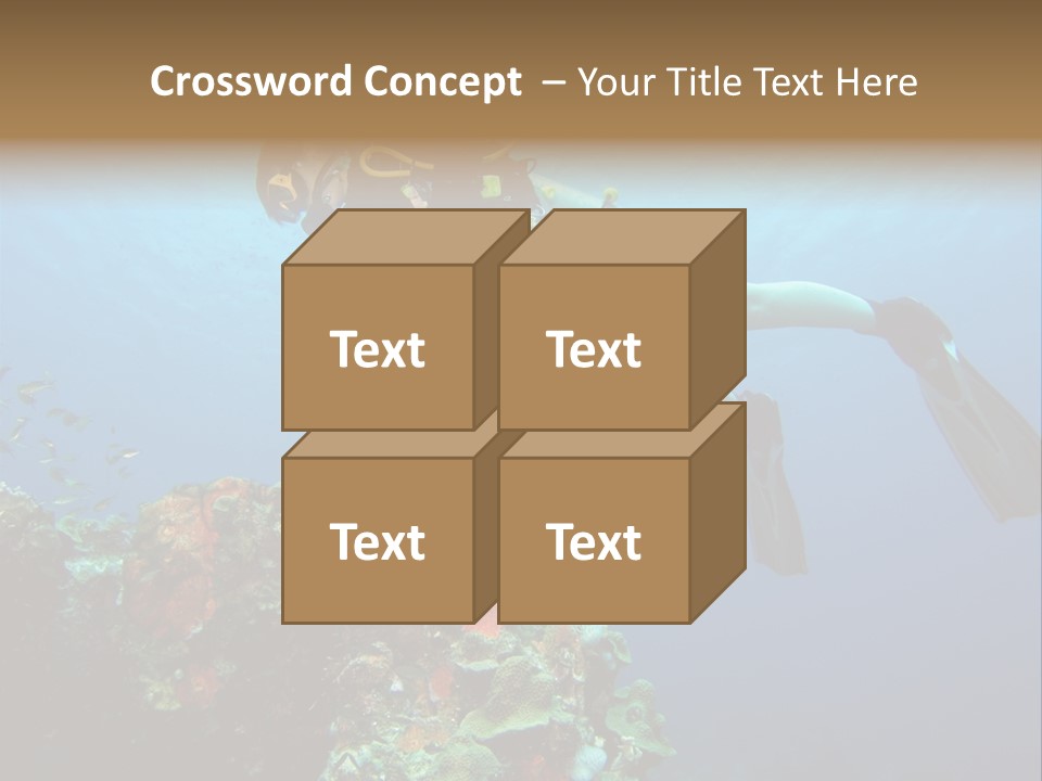 A Diver Floating Over A Coral Reef In The Caribbean Sea PowerPoint Template