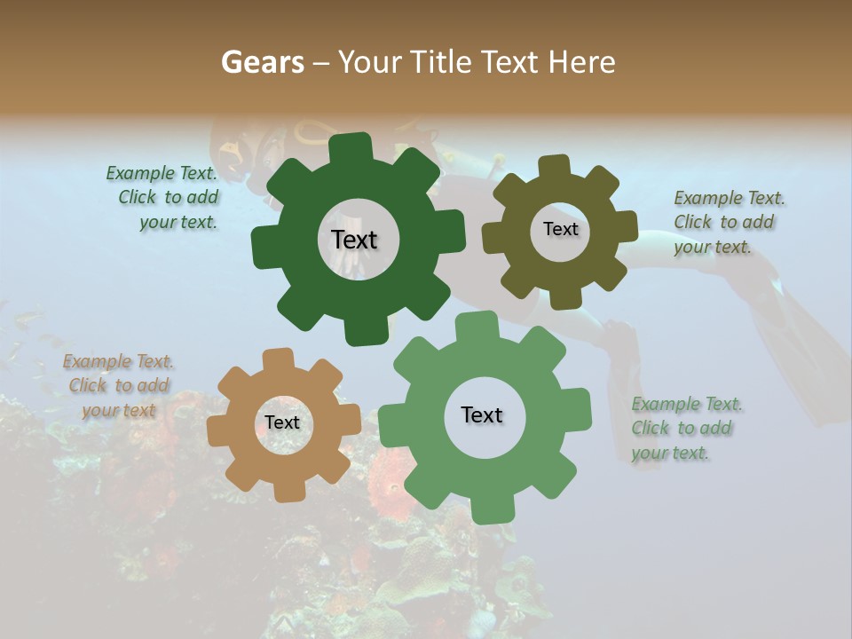 A Diver Floating Over A Coral Reef In The Caribbean Sea PowerPoint Template