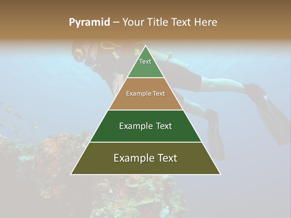 A Diver Floating Over A Coral Reef In The Caribbean Sea PowerPoint Template