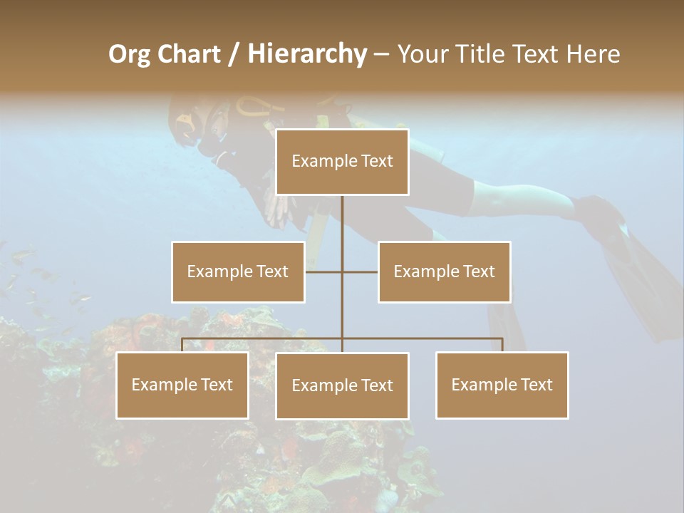 A Diver Floating Over A Coral Reef In The Caribbean Sea PowerPoint Template