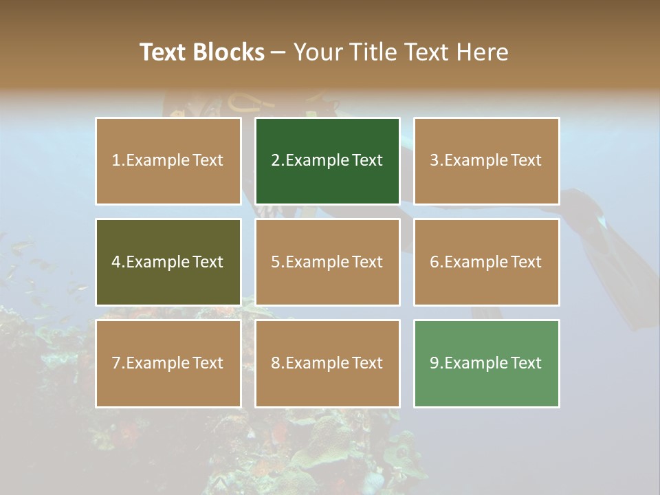 A Diver Floating Over A Coral Reef In The Caribbean Sea PowerPoint Template