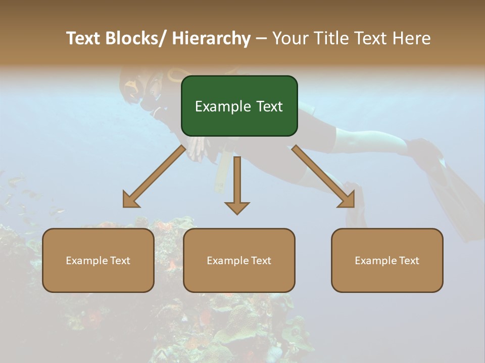 A Diver Floating Over A Coral Reef In The Caribbean Sea PowerPoint Template