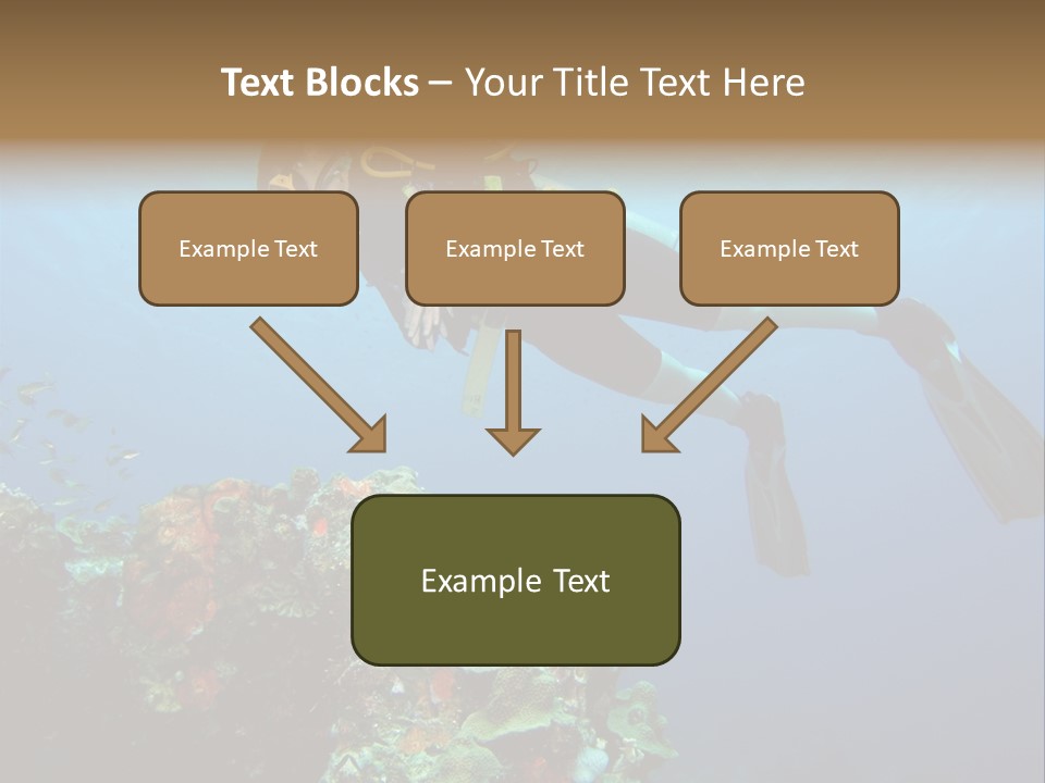 A Diver Floating Over A Coral Reef In The Caribbean Sea PowerPoint Template