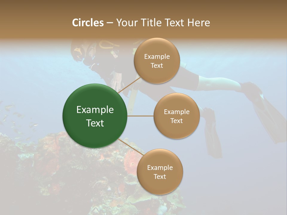 A Diver Floating Over A Coral Reef In The Caribbean Sea PowerPoint Template