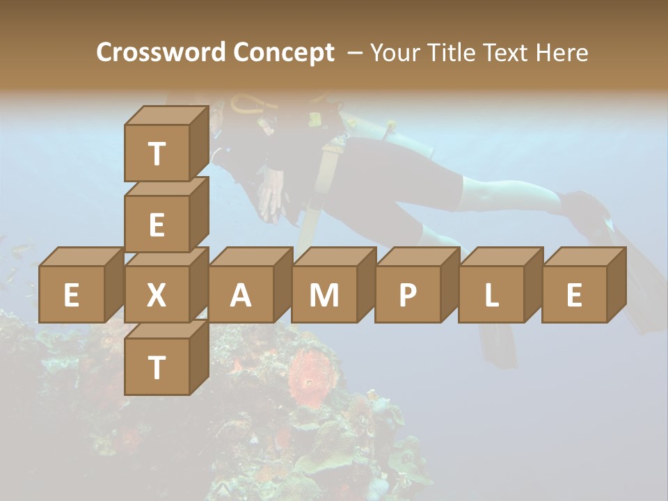 A Diver Floating Over A Coral Reef In The Caribbean Sea PowerPoint Template