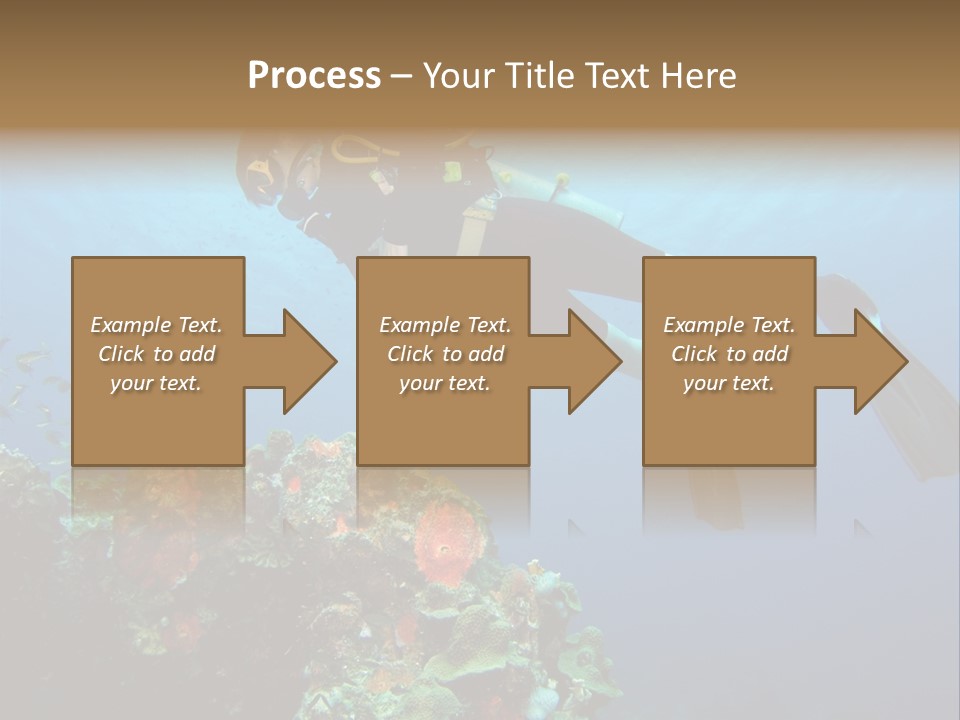 A Diver Floating Over A Coral Reef In The Caribbean Sea PowerPoint Template