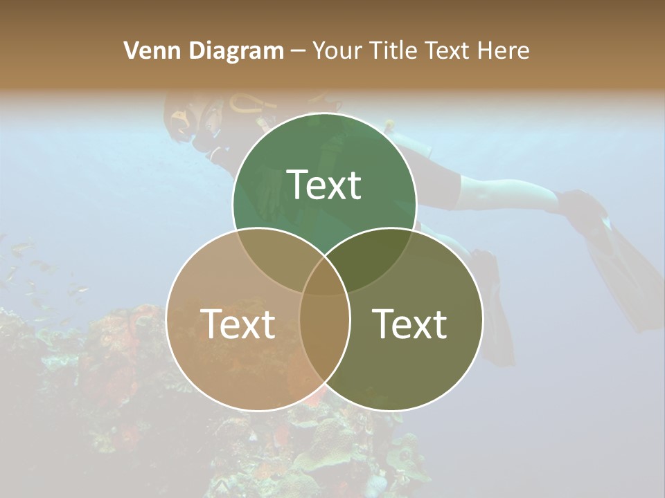 A Diver Floating Over A Coral Reef In The Caribbean Sea PowerPoint Template