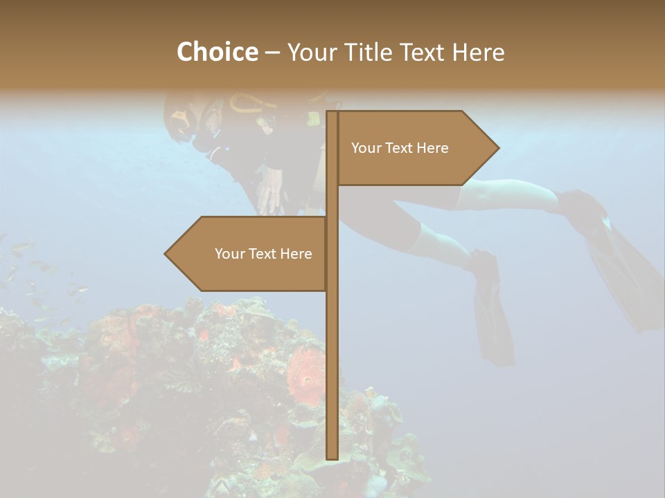 A Diver Floating Over A Coral Reef In The Caribbean Sea PowerPoint Template