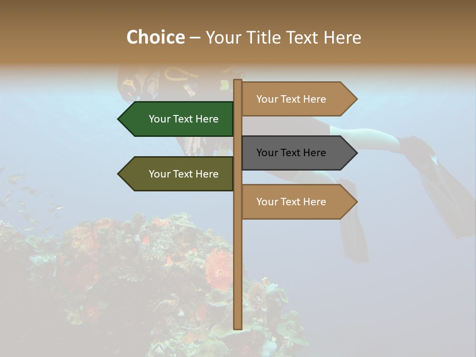 A Diver Floating Over A Coral Reef In The Caribbean Sea PowerPoint Template