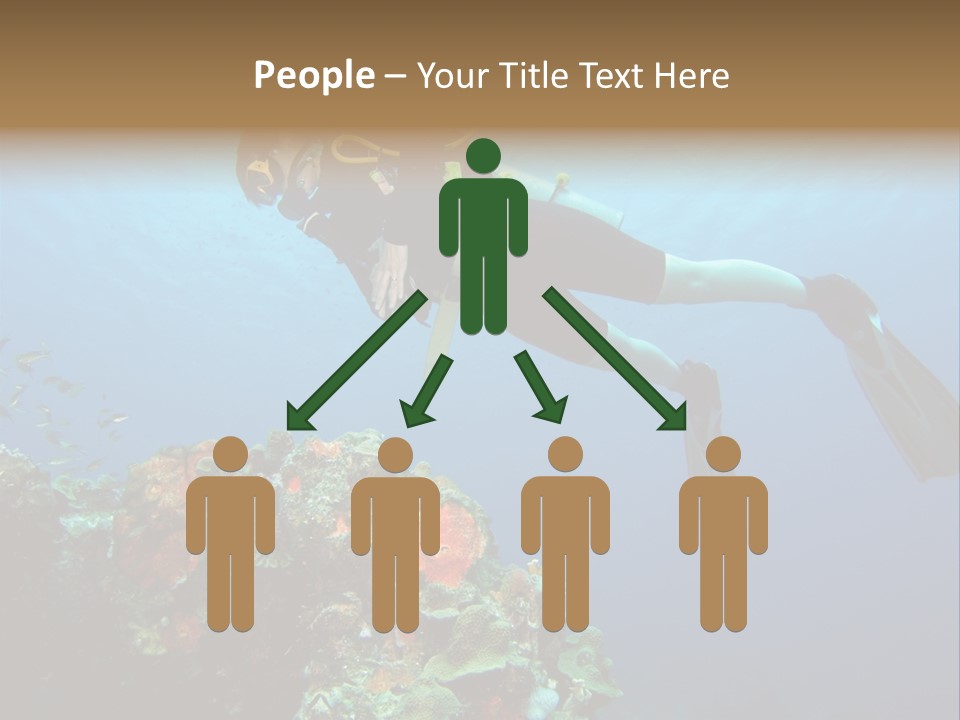 A Diver Floating Over A Coral Reef In The Caribbean Sea PowerPoint Template